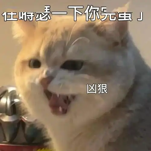  抖音热门搞笑表情包