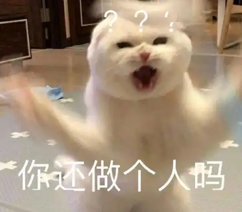  今天有没有喜欢我呀