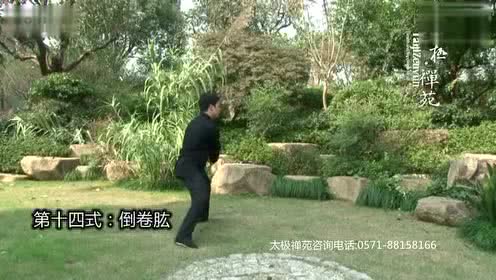  表情太极禅苑陈式太极拳24式套路演练表情