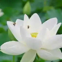 qq空间分享生活,留住感动 qq空间分享生活,留住感动