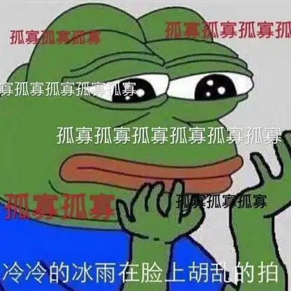 表情包人孤寡
