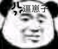  小熊猫表情包大量