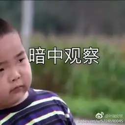  最近,这个叫谢飞机的小孩火了新年的表情包有着落了搜狐