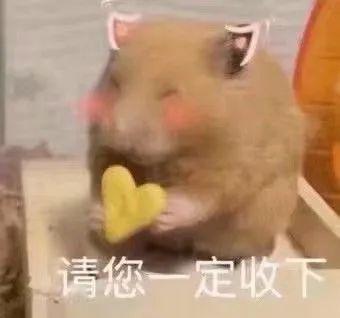 没钱了图片表情包快换