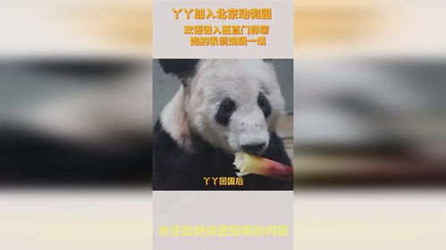  丫丫加入北京动物园欢迎进入西直门群聊她的表情说明一切