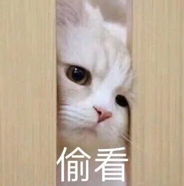  家长要求救娃者删视频,就是农夫与蛇沸话