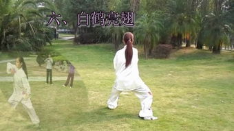  24式太极拳