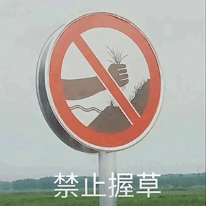  日常沙雕表情包更新一看就不是什么好人