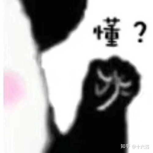  有哪些比较好用,传神的表情包