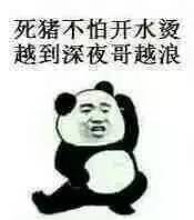  不许动乖乖交出你的钱包