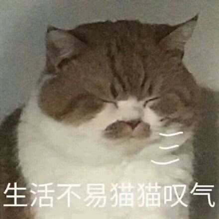  你平常聊天会用哪些生无可恋的表情包