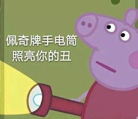  熊猫头怼人表情包你妈是为了阻止你谈恋爱才给了你这张脸