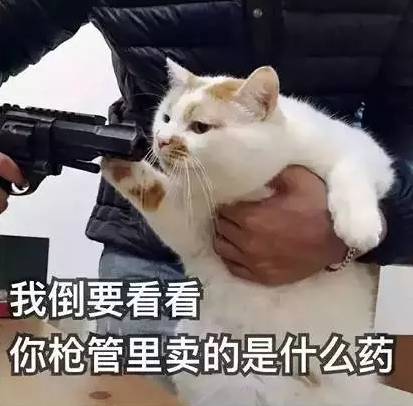 很无聊的表情包撕票