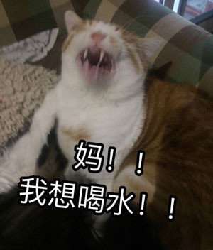  放暑假的你表情包全套无水印放暑假的你表情包高清完整版下载