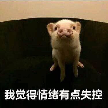  你为什么总会情绪失控