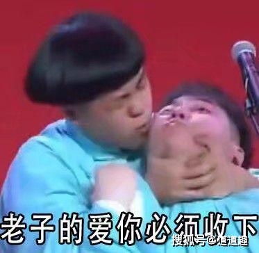  表情包系列第一期30张德云社搞笑图片