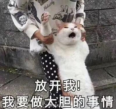  时尚风水轮流转,它它它这些单品它们又都回来了