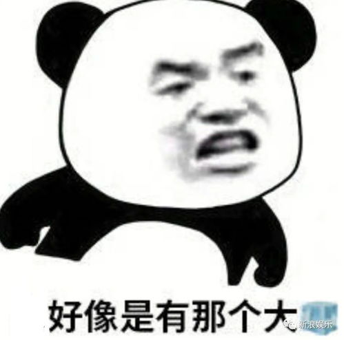  捐款把自己捐成了笑话