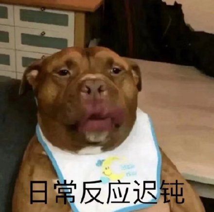  有亿点点皮的朋友圈沙雕文案