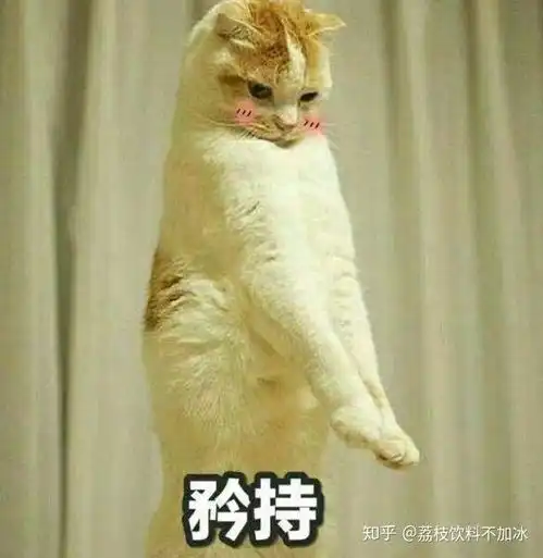 猫咪老师表情包带字亲亲