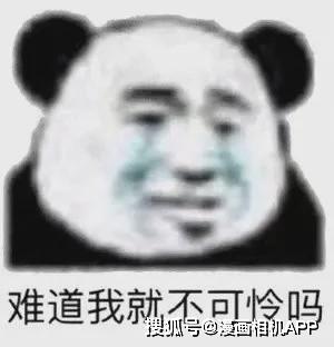  表情包小猪猪男孩闯祸表情包