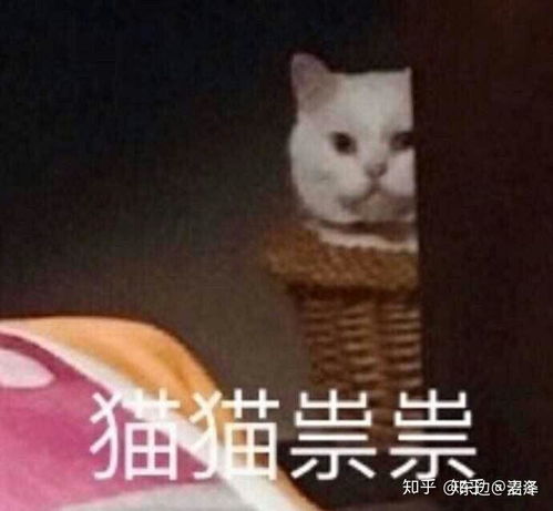  有木有那种很骚的表情包