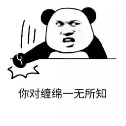  斗图我从来没输过表情包大作战