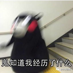  豆乐儿论当会计的独特体验,谁也不能打败我大会计