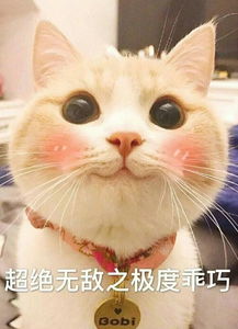 完毕告辞表情包图片