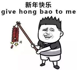  在湖口过个年要花多少钱算完哭了