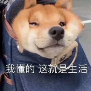  是真的无需驾照未成年人也能申请天津小客车牌照