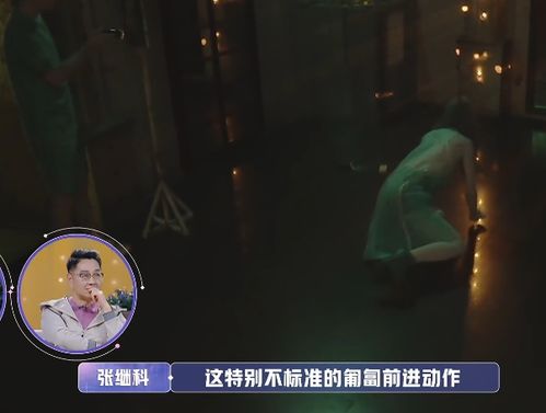 金晨为了过关当场撩裙子,张继科的表情亮了,怪不得金爸看不上他 金晨为了过关当场撩裙子,张继科的表情亮了,怪不得金爸看不上他