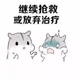  为什么一定要对老婆好太有道理了