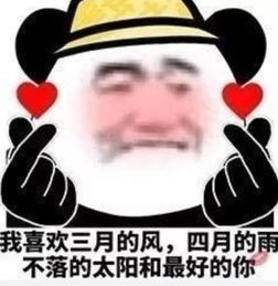  搞笑熊猫头撩汉专用我能成为你最喜欢的人吗