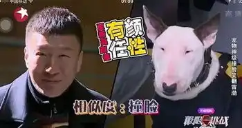 12张超强遗传基因照,证明你是亲生的 12张超强遗传基因照,证明你是亲生的