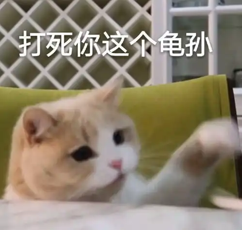 可爱沙雕表情包打死你这个龟孙 可爱沙雕表情包打死你这个龟孙