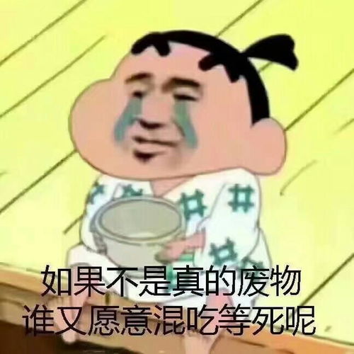  我的收藏夹