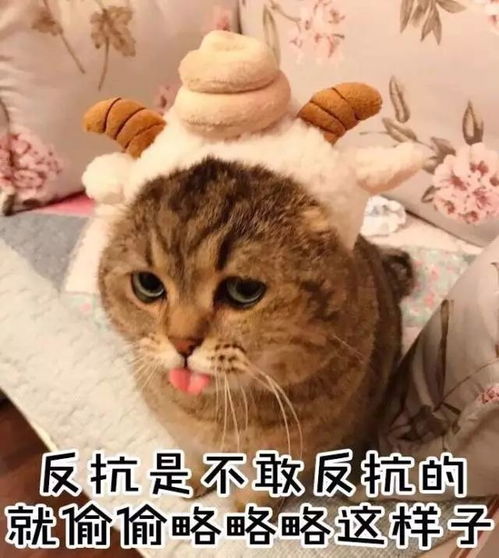  又到了草坪上长满婚纱摄影师的季节