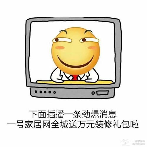  我是装修小白,装房子怎么办,蓝瘦香菇