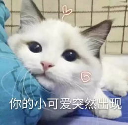  奇趣复活趴解锁周末新玩法,承包你四月的欢乐