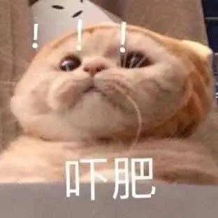  大学最累十大专业谈恋爱呜呜呜呜呜根本不存在的......