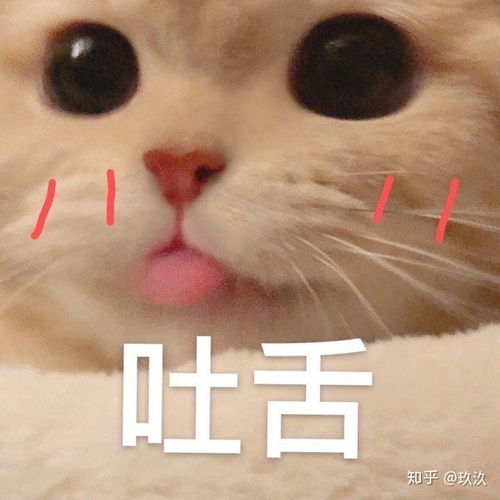  电视剧秋蝉中,除任嘉伦演的叶冲外,你还喜欢谁