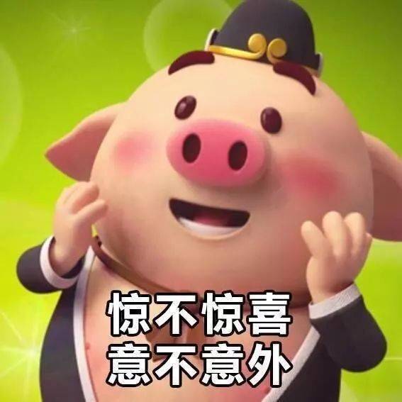 表情包网红小姐姐乔治