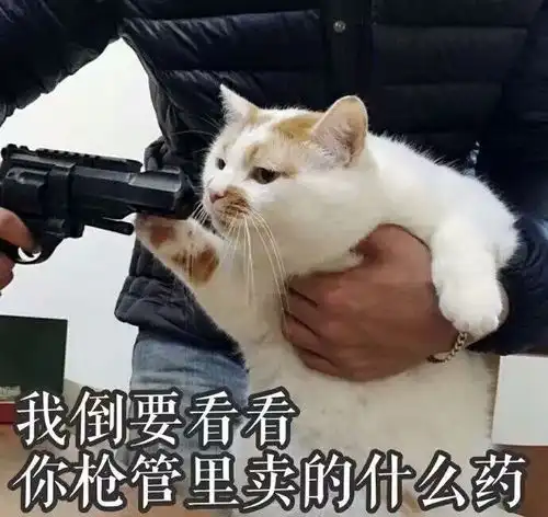 严肃818飞天小女警黄金三人组被强塞的新人妹子什么... 严肃818飞天小女警黄金三人组被强塞的新人妹子什么...