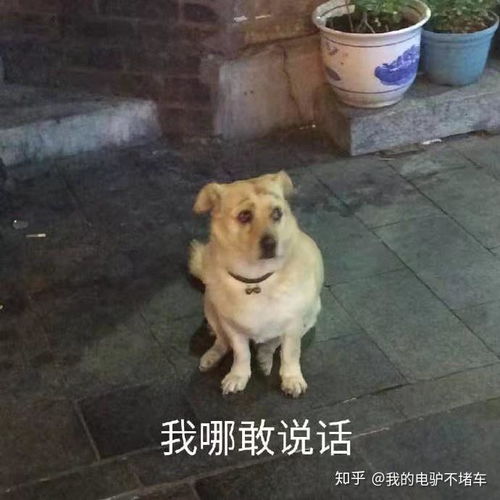  现在在肯德基店外点餐取餐也需要交9元配送费正常吗