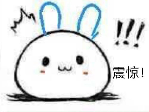 小曲奇表情包微信情头