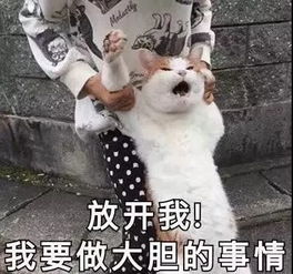  领薪水的日子,焦丹红教你怎么美美美