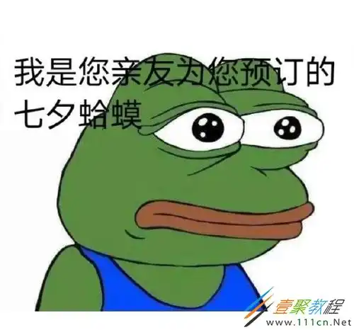 表情包人青蛙