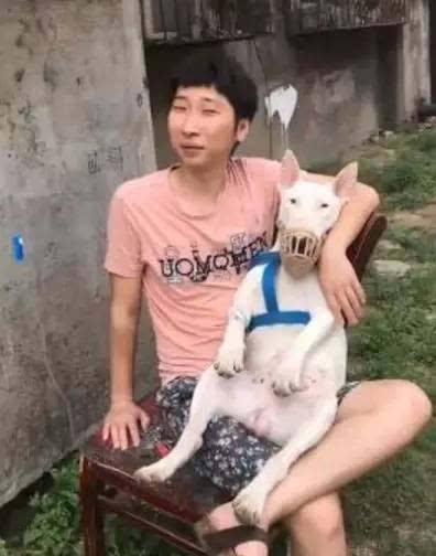  不要再说林永健和孙红雷像牛头梗了,他才是最像的