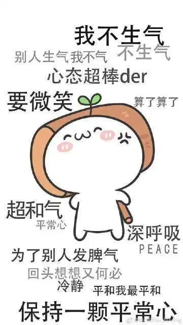 兰兰无话可说表情包生气